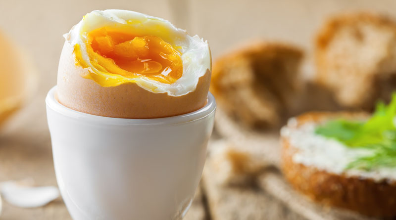 lose weight with eggs